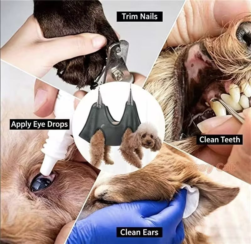 Rede para tosa de cães e gatos, cama para aparar unhas, bolsa de contenção para animais de pequeno a médio porte.