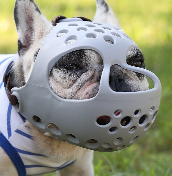 Focinheira curta de borracha macia Humble Dog para cães das raças Bull Terrier, Buldogue Inglês, Buldogue Francês e Pug - Impede mordidas e ingestão acidental de alimentos.