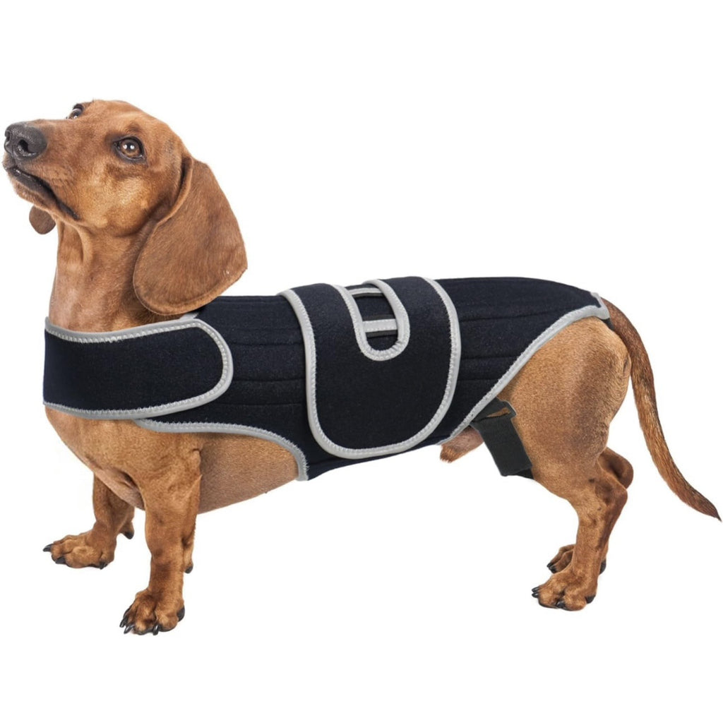 Colete de suporte para cães com lesão de disco intervertebral, cinto de proteção contra fraturas na coluna, suporte lombar para cães de grande porte.