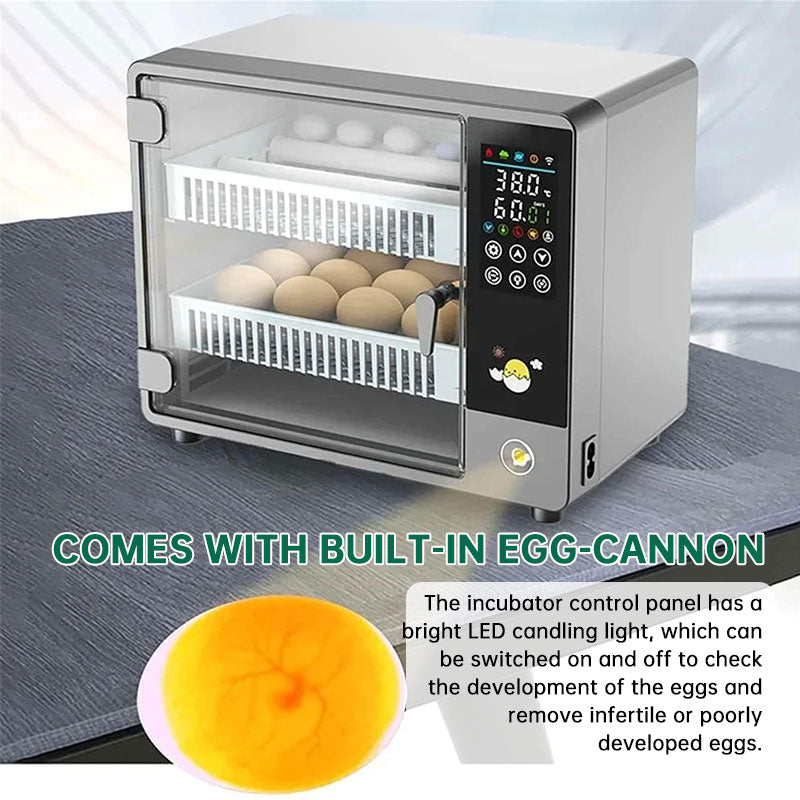 Incubadora automática para 24 ovos, máquina de incubação digital para galinhas, patos e codornas, equipamento avícola com controle por toque.