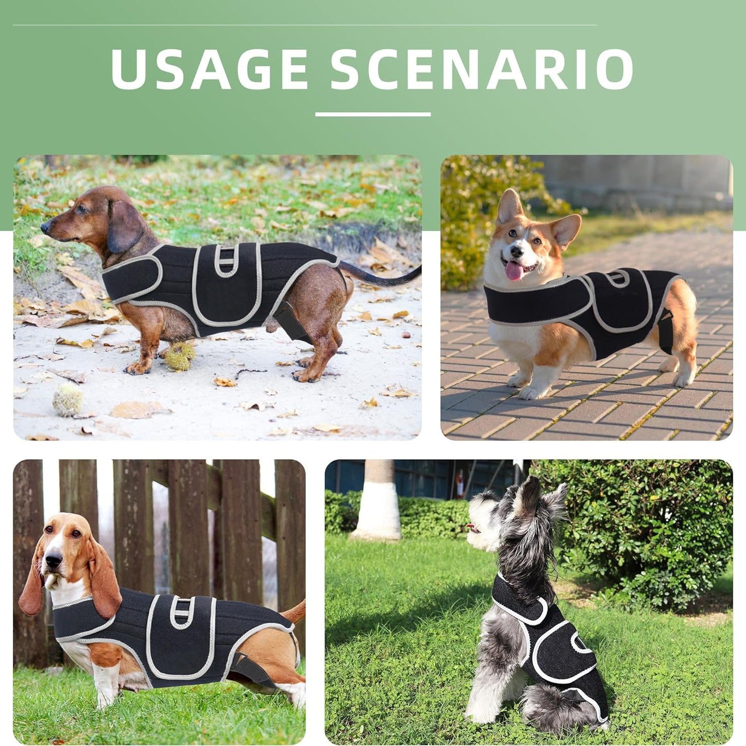 Colete de suporte para cães com lesão de disco intervertebral, cinto de proteção contra fraturas na coluna, suporte lombar para cães de grande porte.