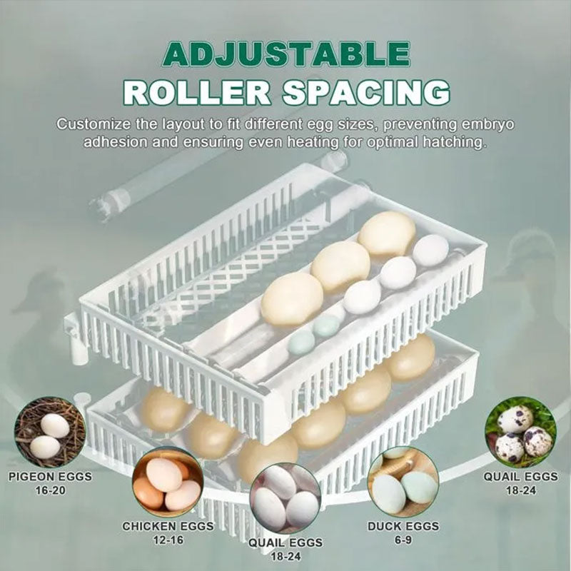 Incubadora automática para 24 ovos, máquina de incubação digital para galinhas, patos e codornas, equipamento avícola com controle por toque.