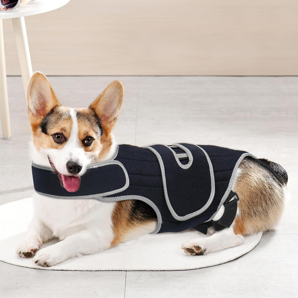 Colete de suporte para cães com lesão de disco intervertebral, cinto de proteção contra fraturas na coluna, suporte lombar para cães de grande porte.