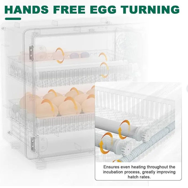 Incubadora automática para 24 ovos, máquina de incubação digital para galinhas, patos e codornas, equipamento avícola com controle por toque.
