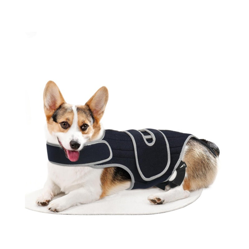 Colete de suporte para cães com lesão de disco intervertebral, cinto de proteção contra fraturas na coluna, suporte lombar para cães de grande porte.